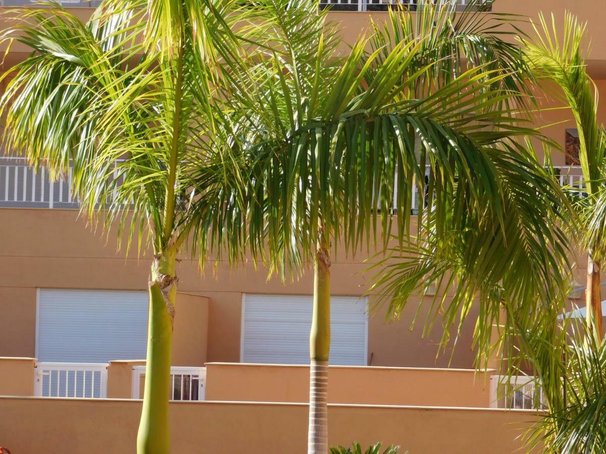 Brisas Del Mar Apartment Costa Adeje  Exterior photo